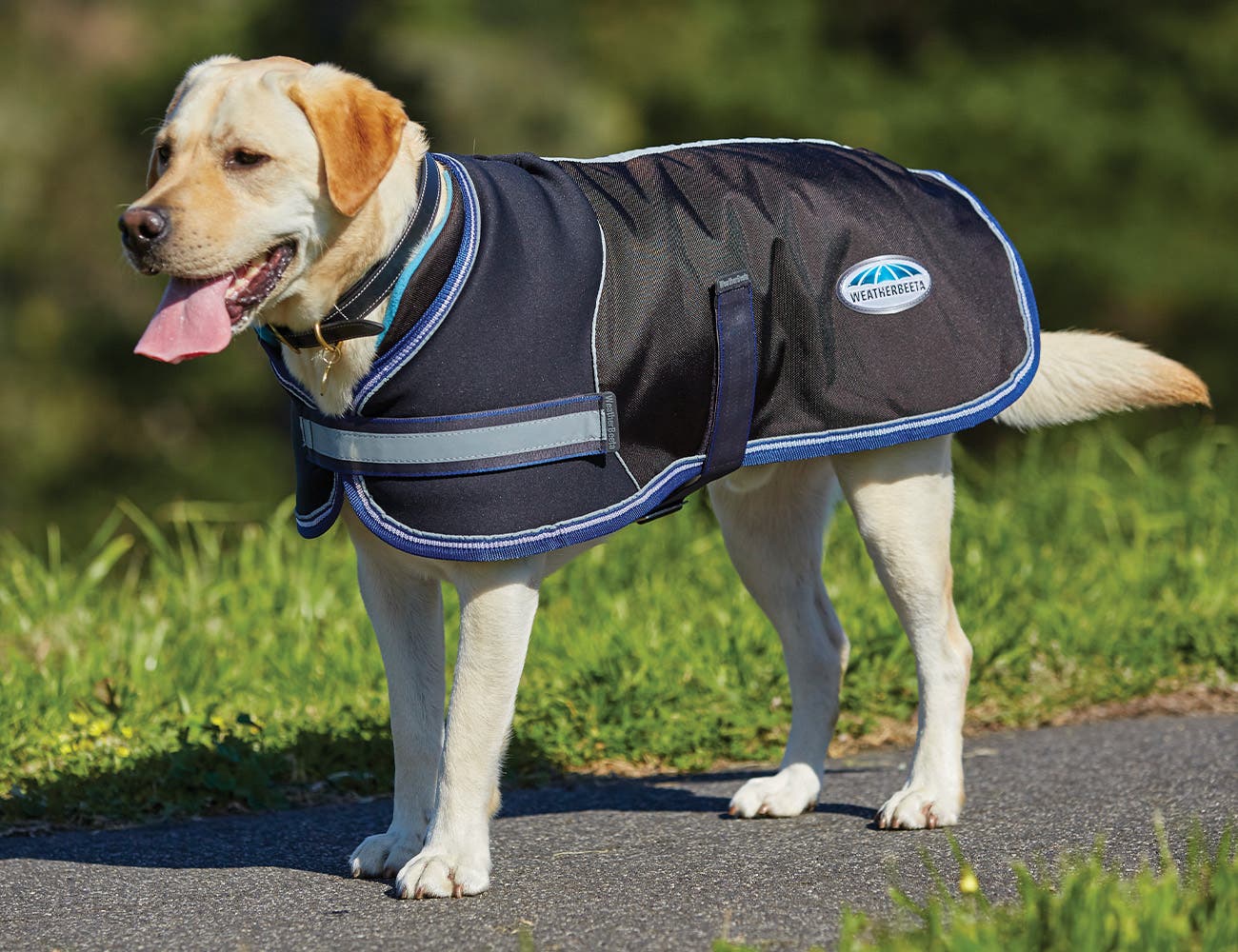 Weatherbeeta parka 1680d dog outlet coat