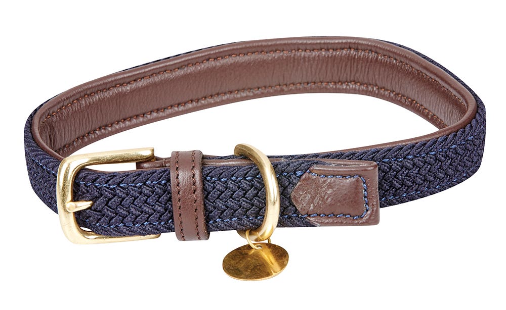 Buy Leather Plaited Dog Collar Online WeatherBeeta