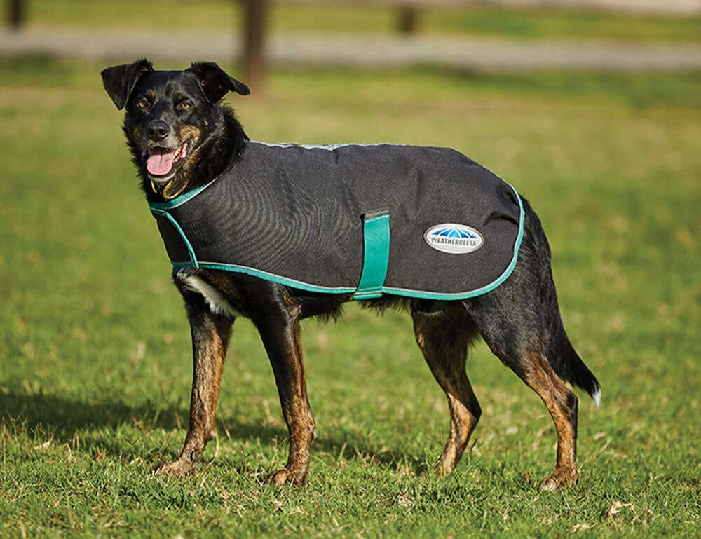 Green sales dog jacket
