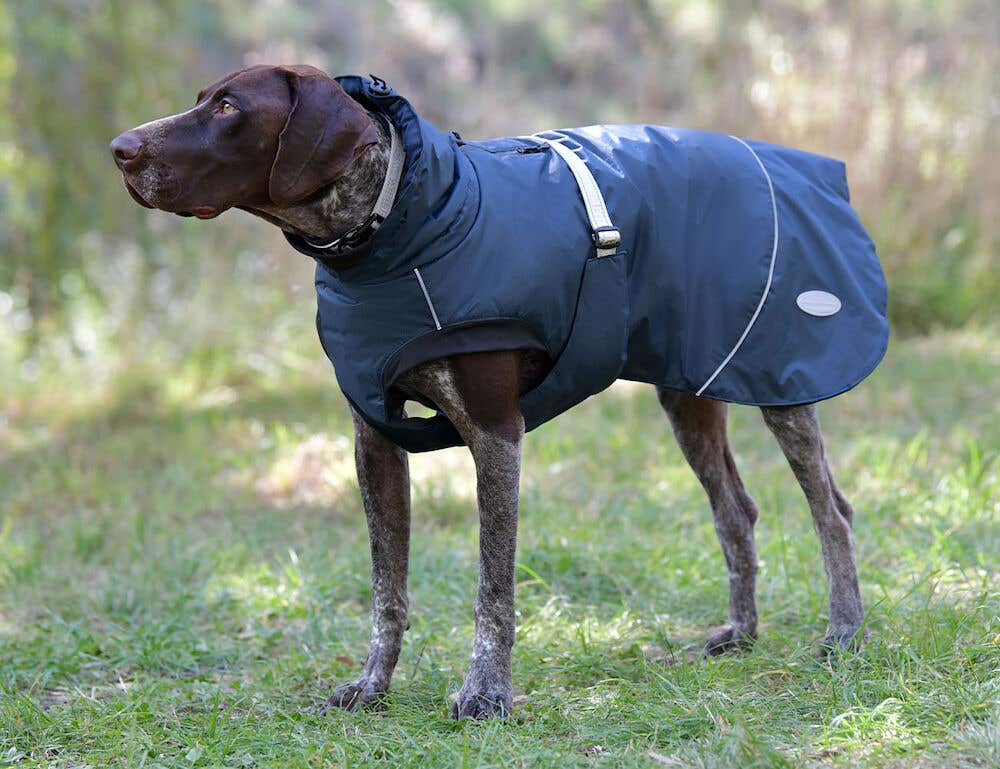 Barbour dog shop coat australia