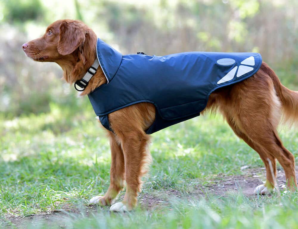 Dog coats online with sleeves