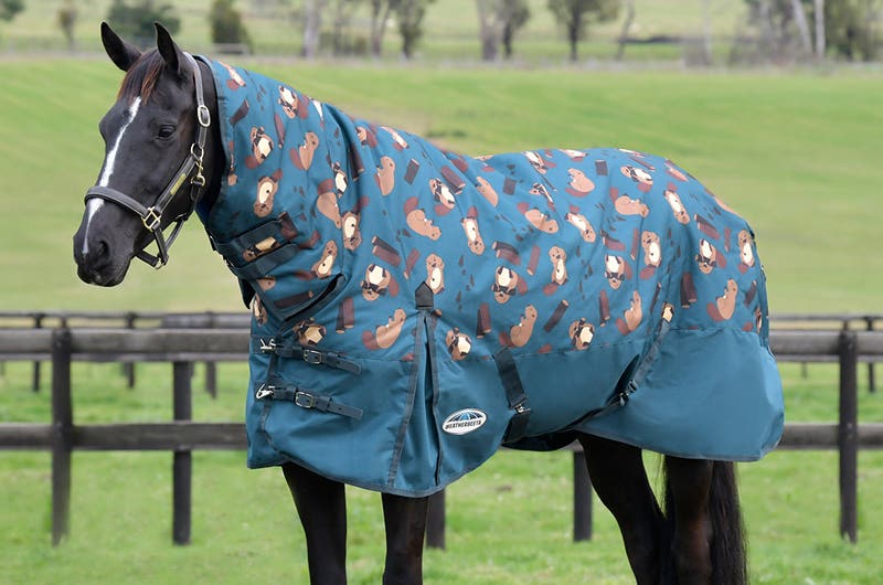 Turnout Rugs