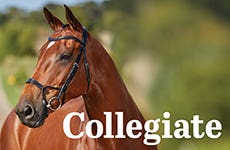 Collegiate