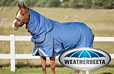 WeatherBeeta Horse