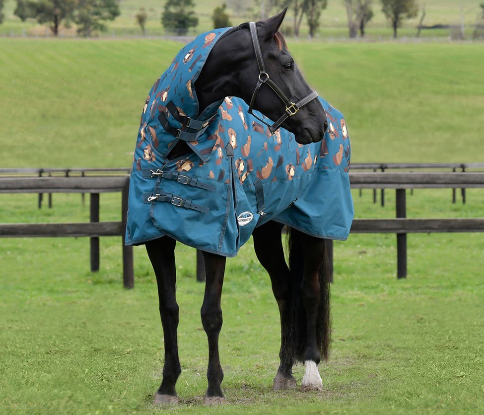 WeatherBeeta Products for Horses